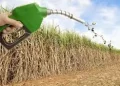 Biocombustíveis