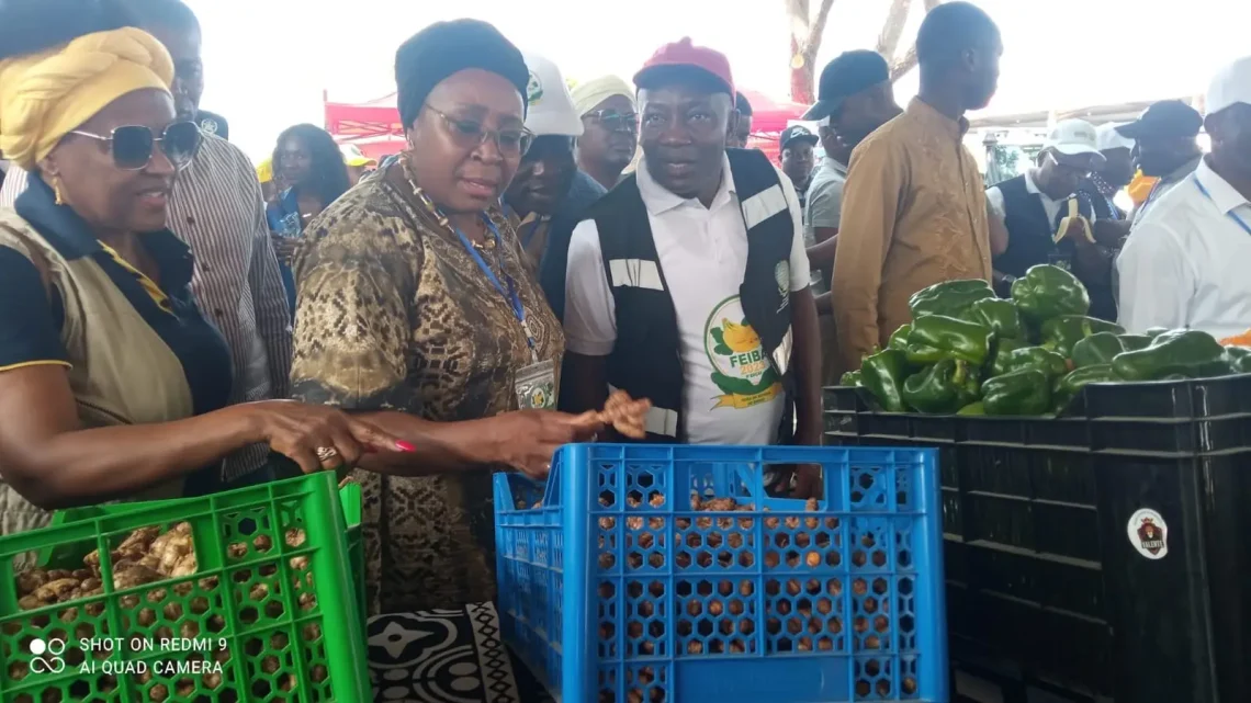 Governadora do Bengo, Maria Antónia  Nelumba, em visita de campo