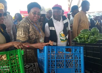 Governadora do Bengo, Maria Antónia  Nelumba, em visita de campo
