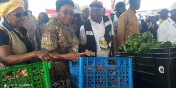 Governadora do Bengo, Maria Antónia  Nelumba, em visita de campo