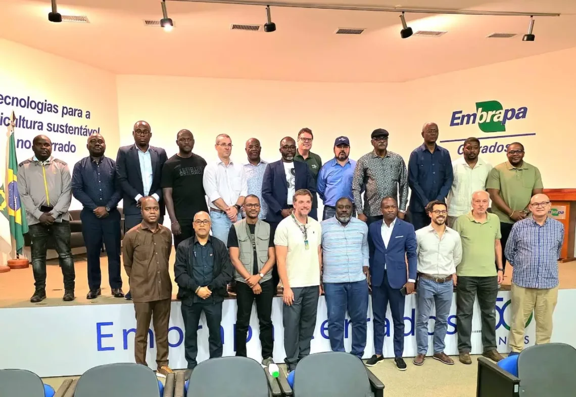 Delegação multissectorial angolana em Brasília