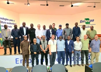 Delegação multissectorial angolana em Brasília