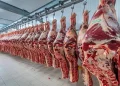 Carne da Huíla