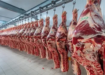 Carne da Huíla